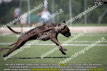 IMG_1915.jpg