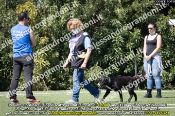 IMG_1936.jpg