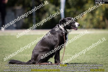 IMG_1938.jpg