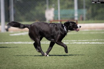 IMG_1941.jpg