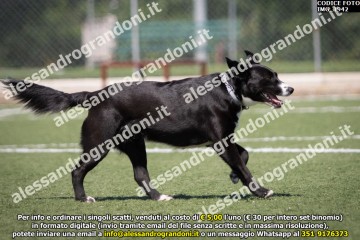 IMG_1942.jpg