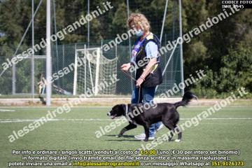 IMG_1945.jpg