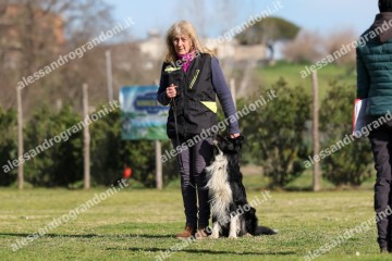 IMG_2207 (2).jpg