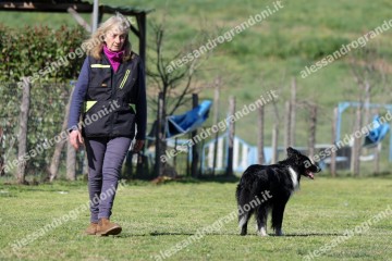 IMG_3673.jpg