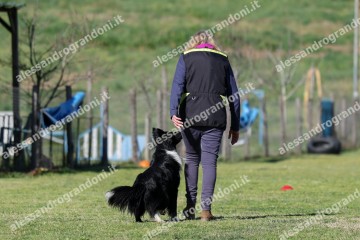 IMG_3678.jpg