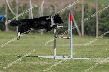 IMG_3682 (2).jpg