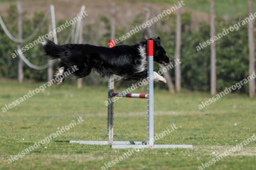IMG_3684 (2).jpg