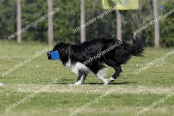 IMG_3710.jpg