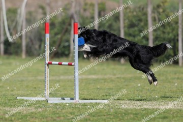 IMG_3718 (2).jpg