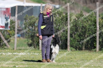 IMG_3734.jpg