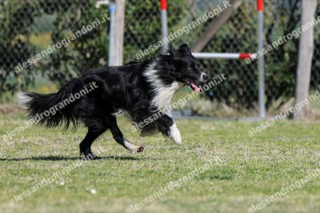 IMG_3751 (2).jpg
