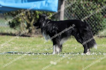 IMG_3768 (2).jpg