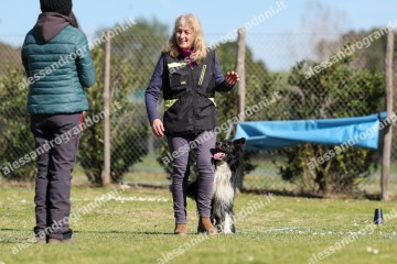 IMG_3789.jpg