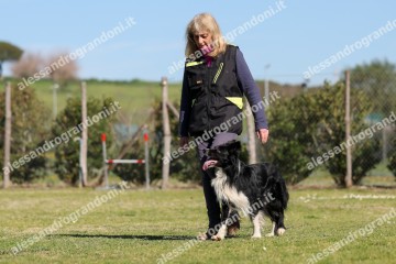IMG_3823.jpg