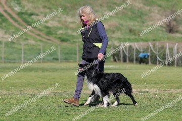 IMG_3871.jpg