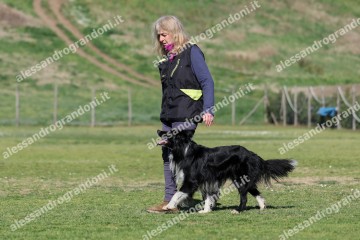 IMG_3876.jpg