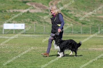 IMG_3888.jpg