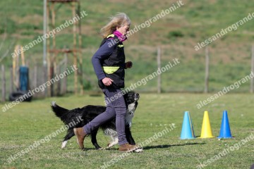 IMG_3922.jpg