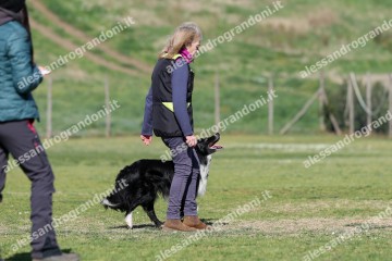 IMG_3946.jpg