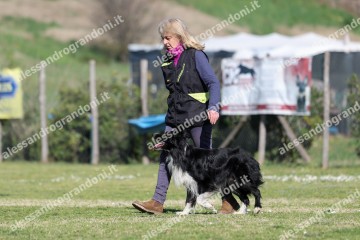 IMG_3966.jpg