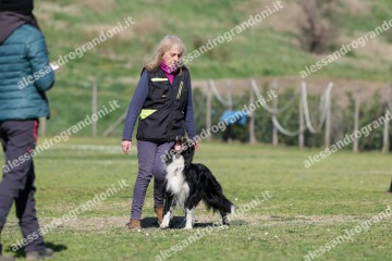 IMG_3993.jpg