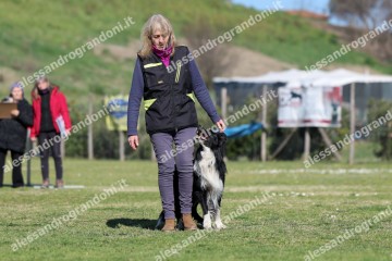 IMG_4058.jpg
