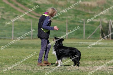 IMG_4062.jpg