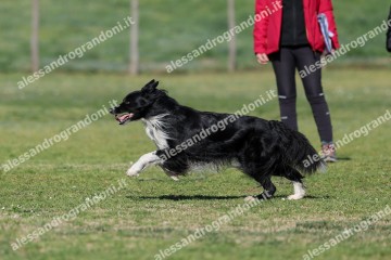 IMG_4078.jpg