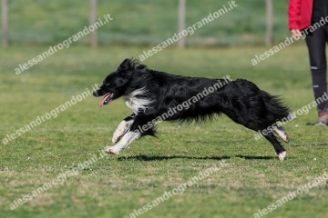 IMG_4080.jpg