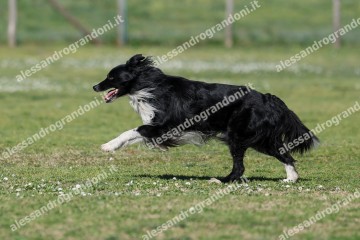 IMG_4089.jpg