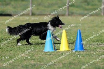 IMG_4156.jpg