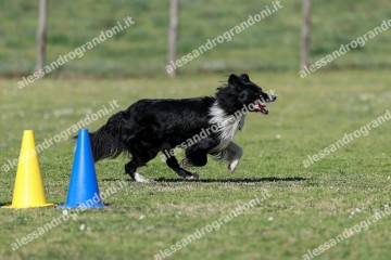 IMG_4165.jpg