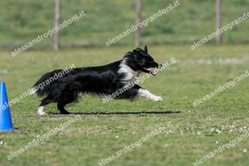 IMG_4167.jpg