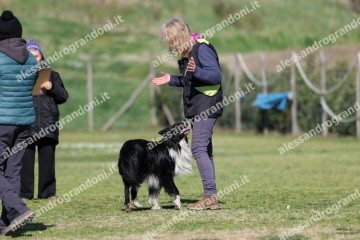 IMG_4256.jpg