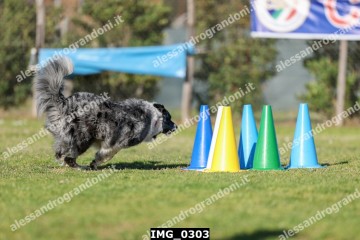 IMG_0303.jpg