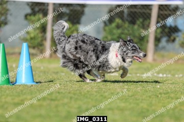 IMG_0311.jpg