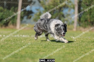 IMG_0320.jpg