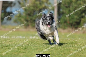 IMG_0326.jpg