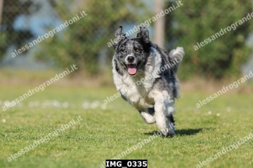 IMG_0335.jpg