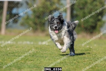 IMG_0336.jpg