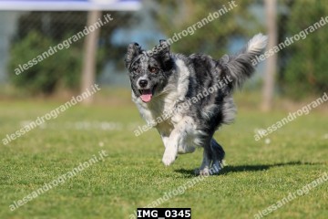 IMG_0345.jpg