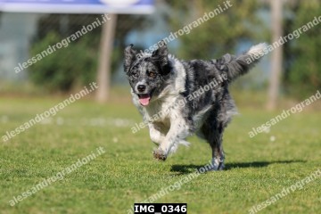 IMG_0346.jpg