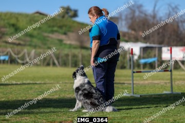 IMG_0364.jpg