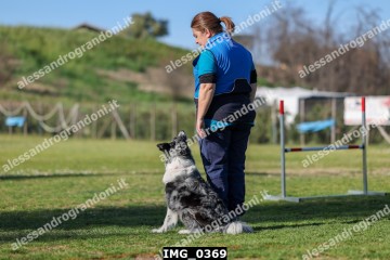IMG_0369.jpg