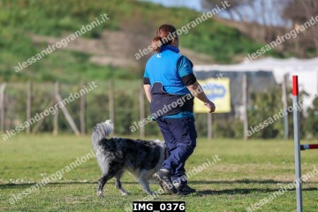 IMG_0376.jpg