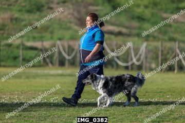 IMG_0382.jpg