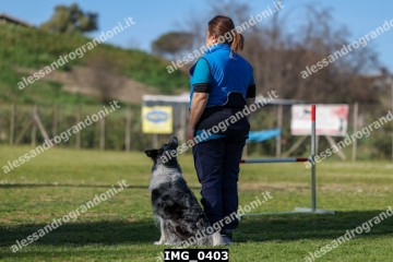 IMG_0403.jpg