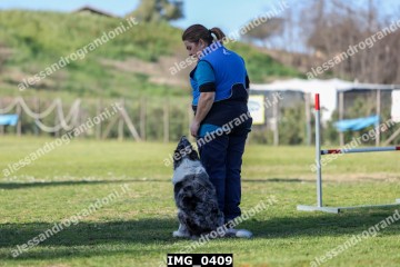 IMG_0409.jpg
