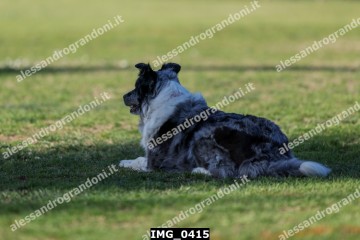 IMG_0415.jpg