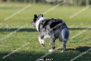 IMG_0427.jpg